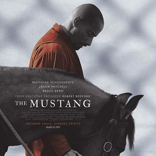 The Mustang Film