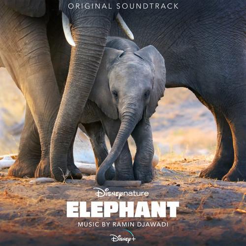 Elephant Soundtrack