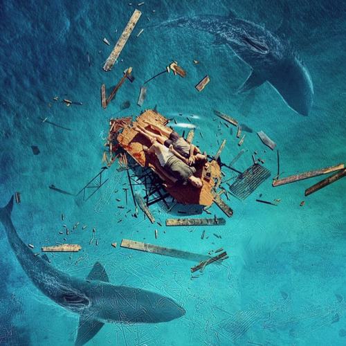 The Requin Soundtrack 2022