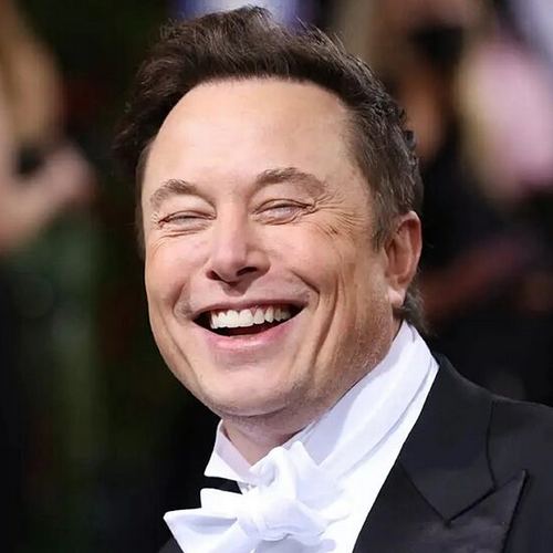 Elon Musk - founder of Tesla, Space X